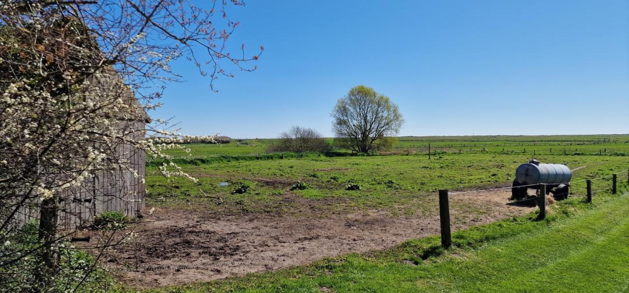 Ferienwohnung 'Gelting' - Refugium Pottloch Ostsee Kronsgaard Ngoại thất bức ảnh